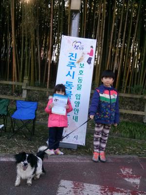 Animal adoption at Jinju animal shelter