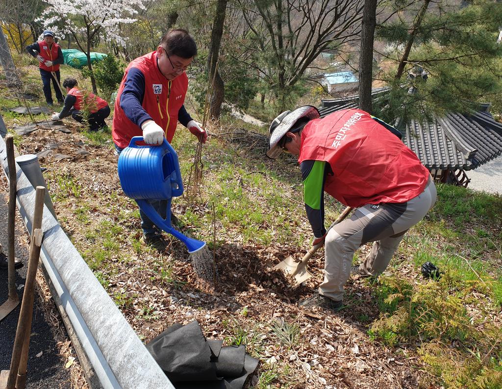 19-03-28 대룡골 둘레길 복숭아나무 심기