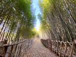 ‘진양호반 물빛숲’, 산림청의‘대한민국 100대 명품숲’에 선정