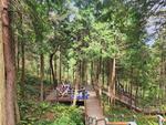 ‘진양호반 물빛숲’, 산림청의‘대한민국 100대 명품숲’에 선정