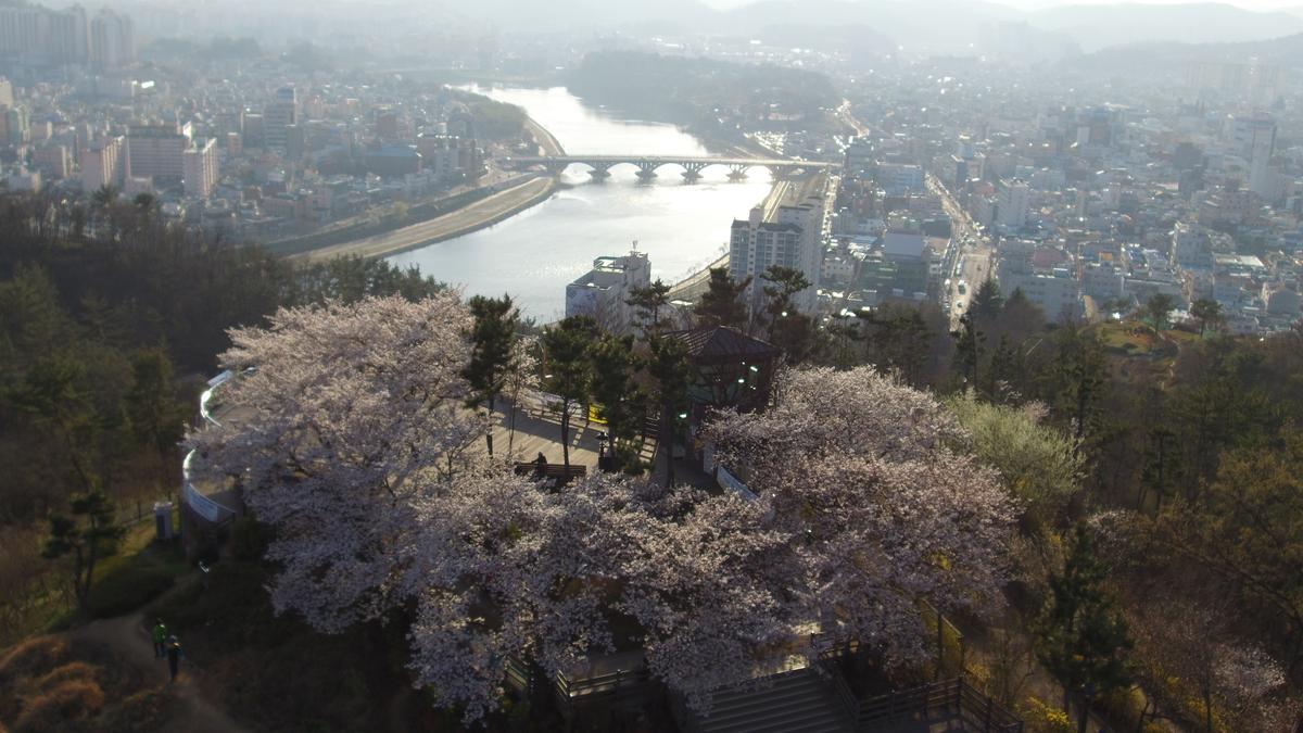 선학산 전망대0