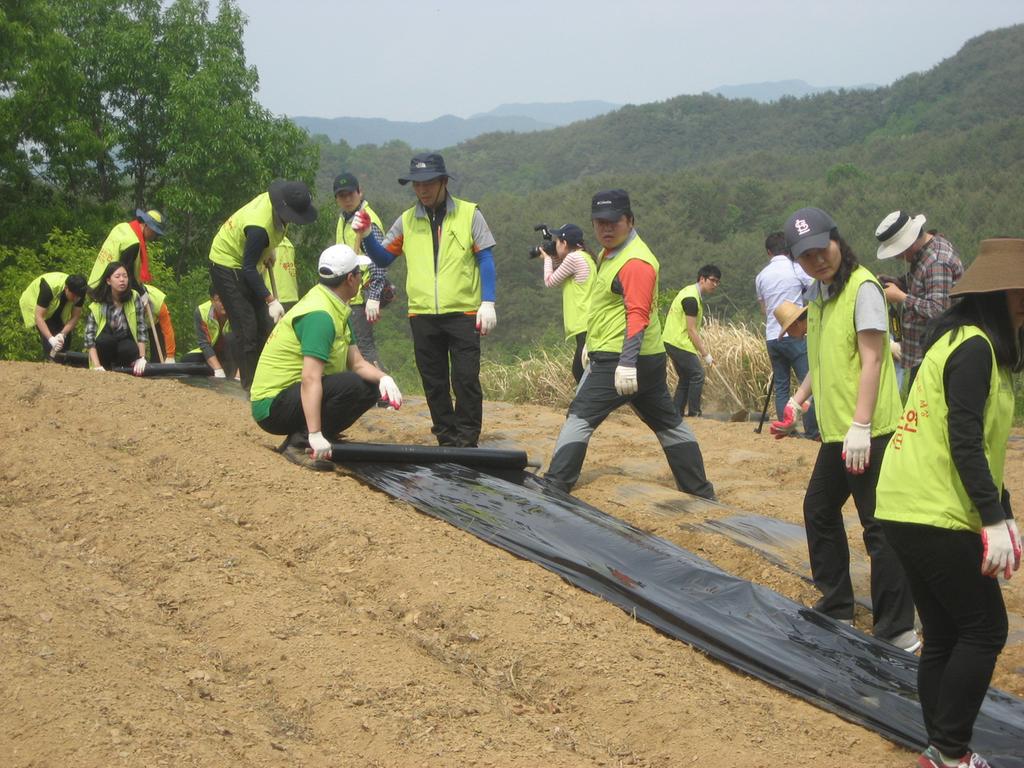 한국시설안전공단 임직원  농촌일손돕기 