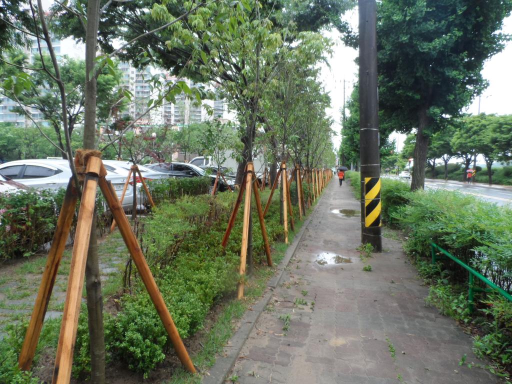 도시숲 조성사업 한국폴리텍대학 담장개방 