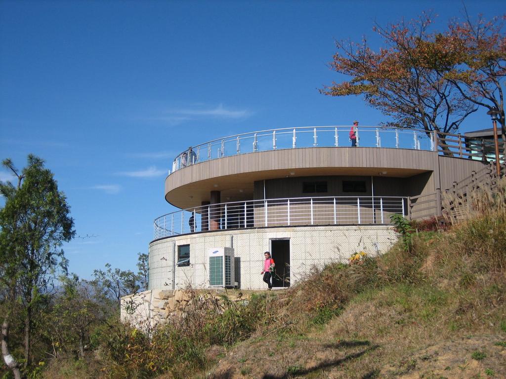 선학산