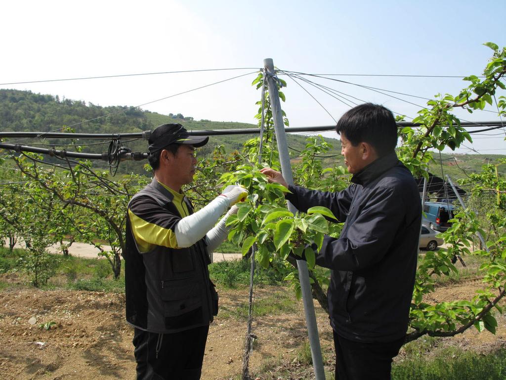 과원관리