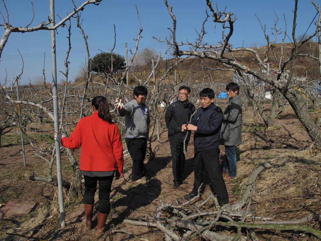 과원 관리 현장 지도 현장