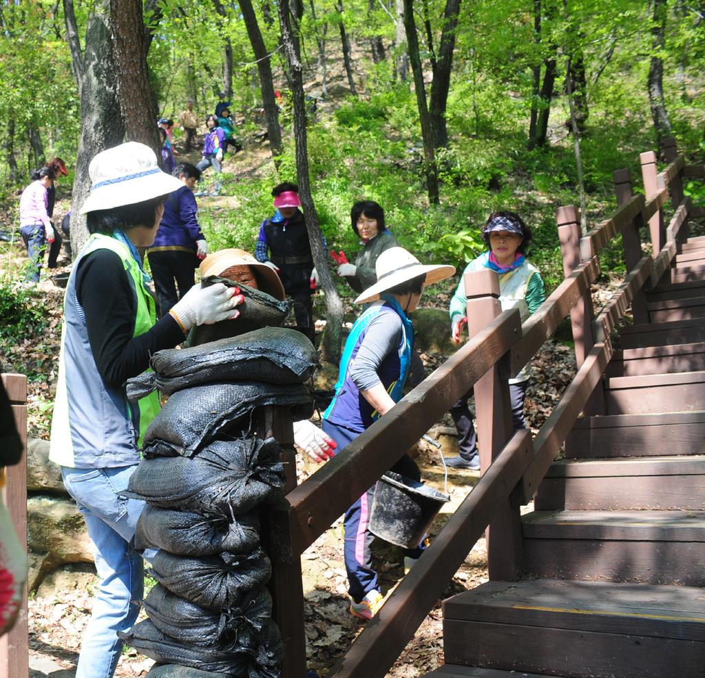 상봉동 비봉산 살리기