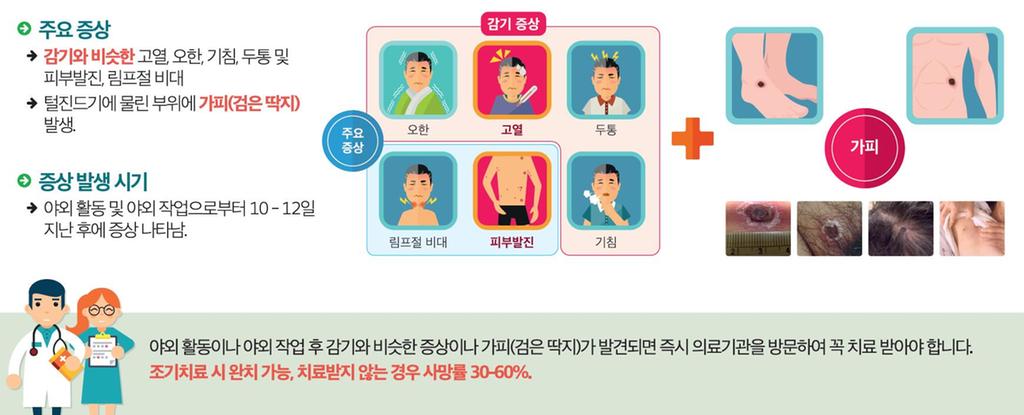 야외활동 시 쯔쯔가무시증 조심하세요!