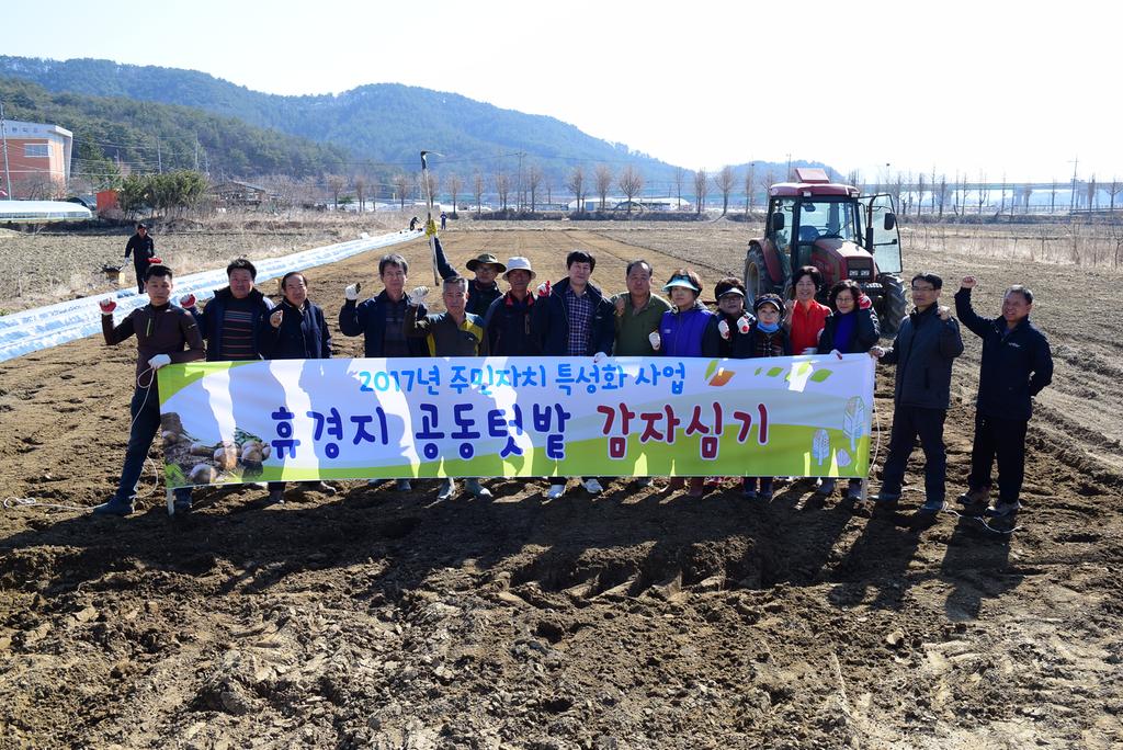 집현면주민자치위원회 공동텃밭 사랑의 감자심기 행사 열려