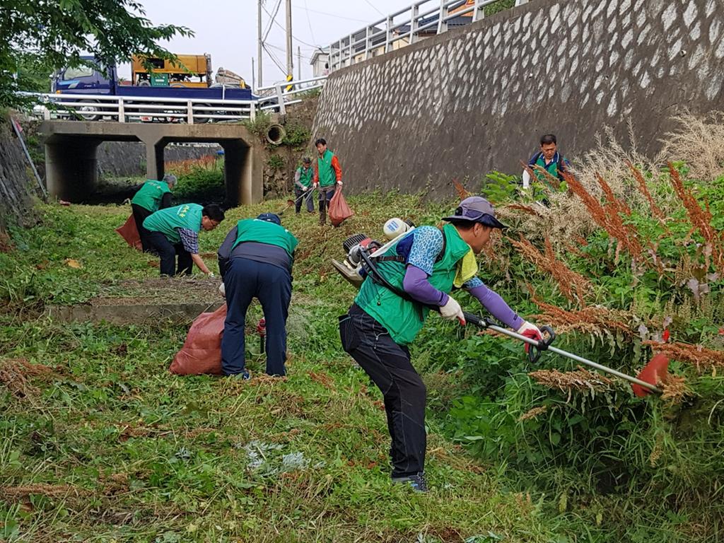 상봉동 봉원천 하천 정화 활동 실시
