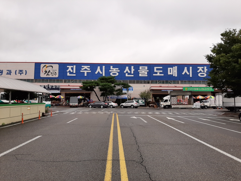 진주시, 농산물도매시장 임시경매장 설치 운영