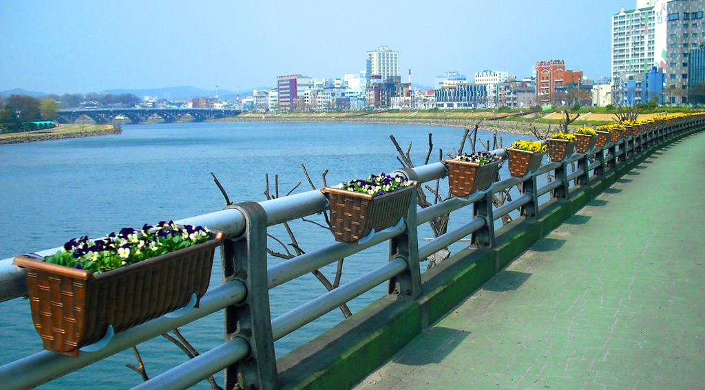 진주시「시가지 꽃단장으로 새봄맞이」준비 한창