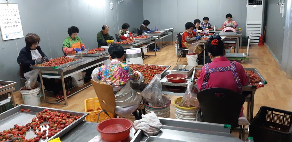 진주시, 노인일자리 수행기관 보건복지부 평가 최우수기관 선정 