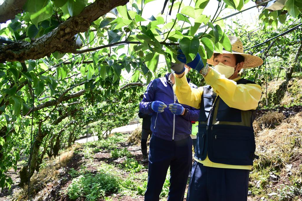 진주시, 코로나19 극복 위한 ‘봄철 농촌 일손돕기’전개 