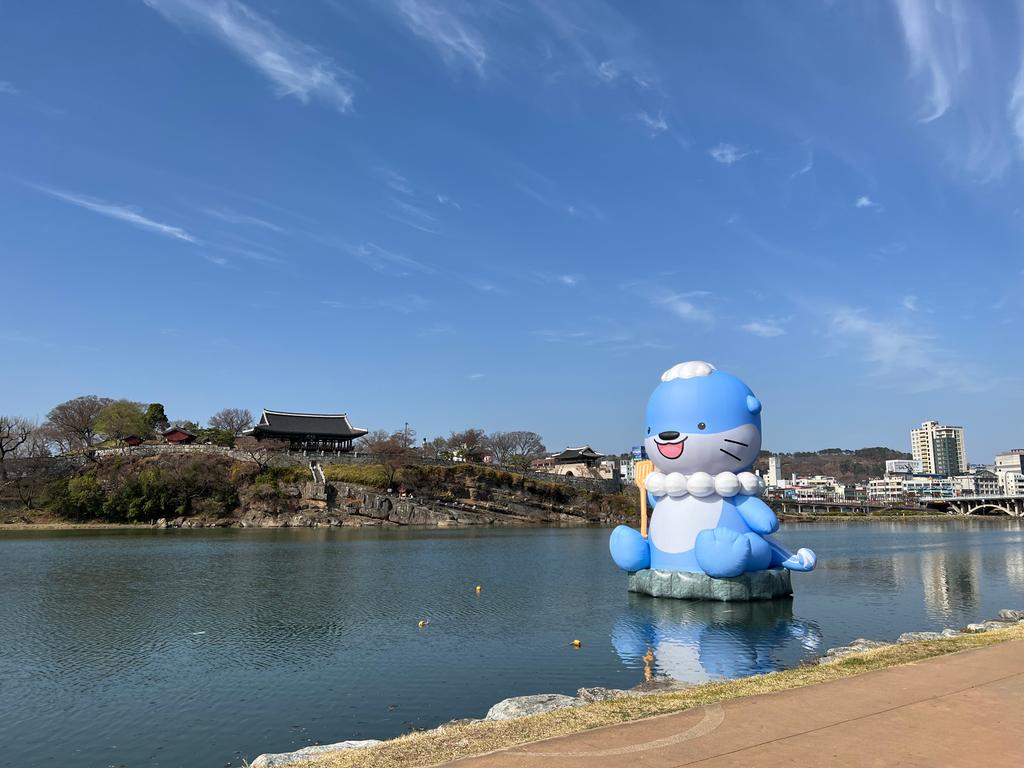 진주 하모, 드디어 남강에 등장 ! 