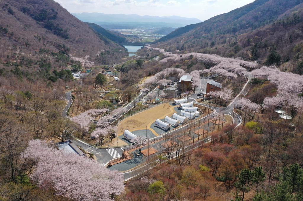 본격적인 꽃놀이 시즌, 봄철 여행은 진주로 오세요!!