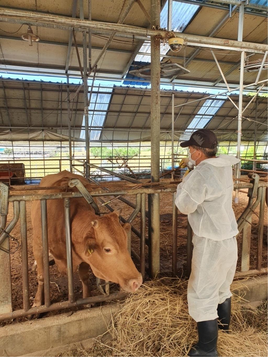 진주시, 상반기 구제역 백신 일제접종 추진