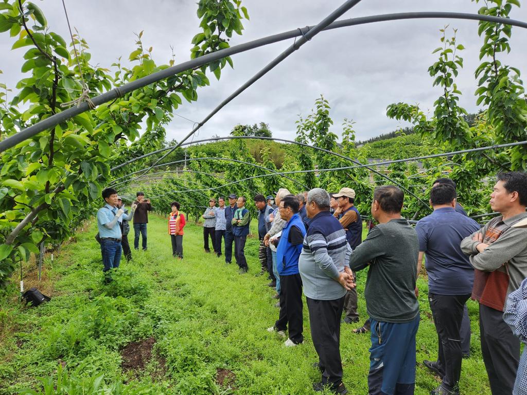 진주시, 찾아가는 품목별 상설교육 ‘배 재배기술 교육’실시