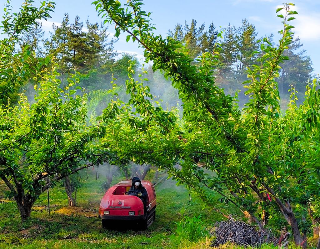 진주시, 과수 돌발해충 방제약제 무상 공급