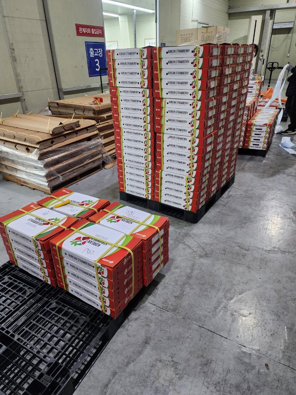 2023 하반기 수확 ‘진주 금실 딸기’ 수출 시작!