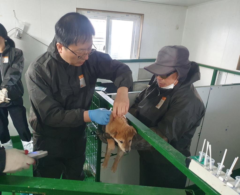진주시수의사회, 2024년에도 동물보호센터 정기 의료봉사 이어간다