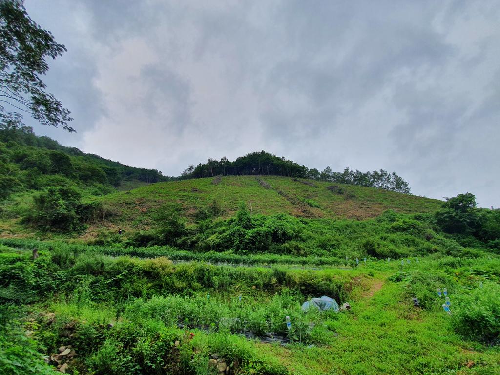 진주시, ‘2024년 조림사업’4월까지 시행