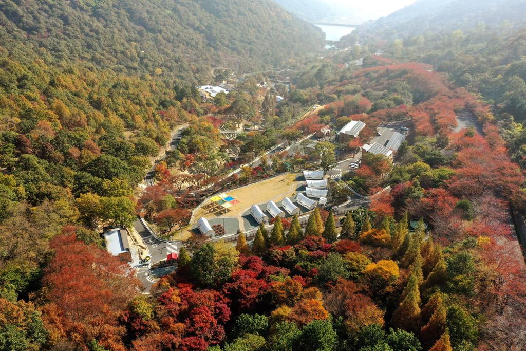 진주시, 경상남도 산림휴양시설 조성·운영분야 2년 연속 ‘1위’