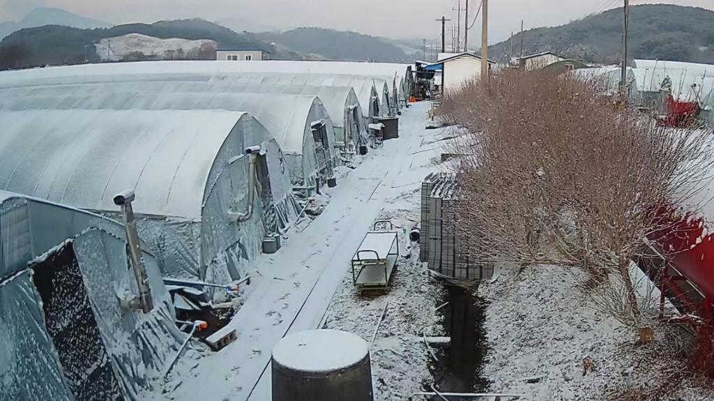 진주시, 겨울철 재해 대비 시설채소·과수 및 농업시설물 관리 당부