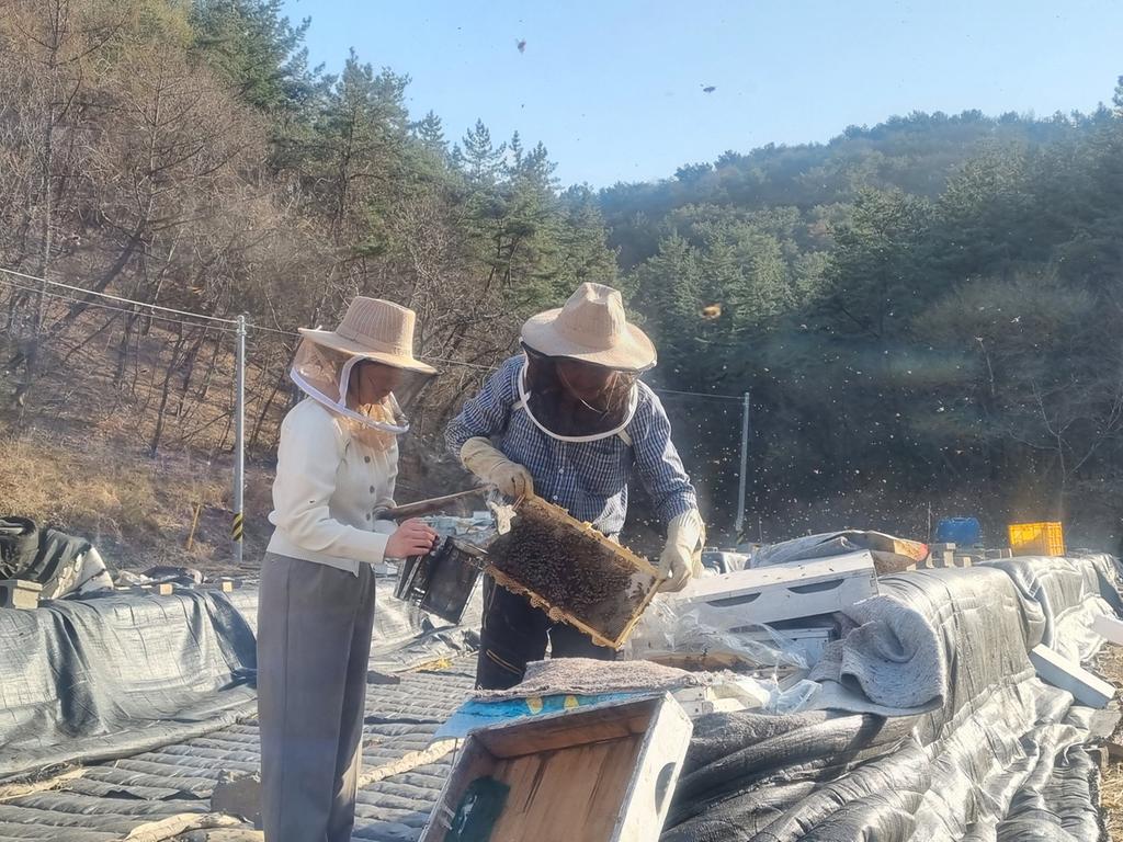 진주시, 꿀벌 질병 구제약품 무상 공급 