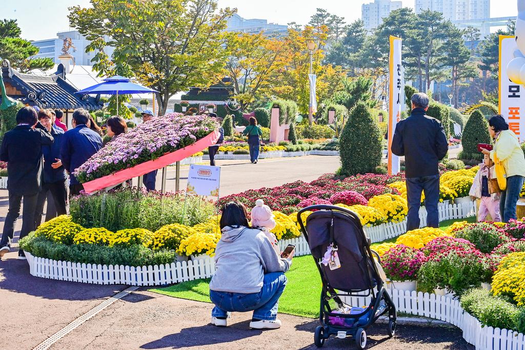 ‘진주국화작품전시회’ 절찬리 성황중