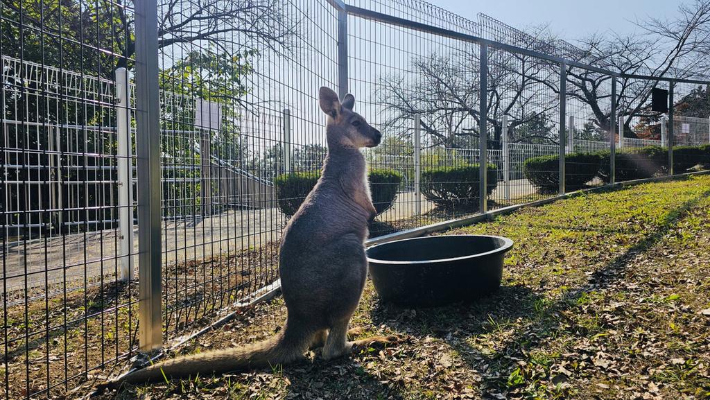 진주시 진양호동물원, 새로운 가족이 합류!…10일부터 선보여