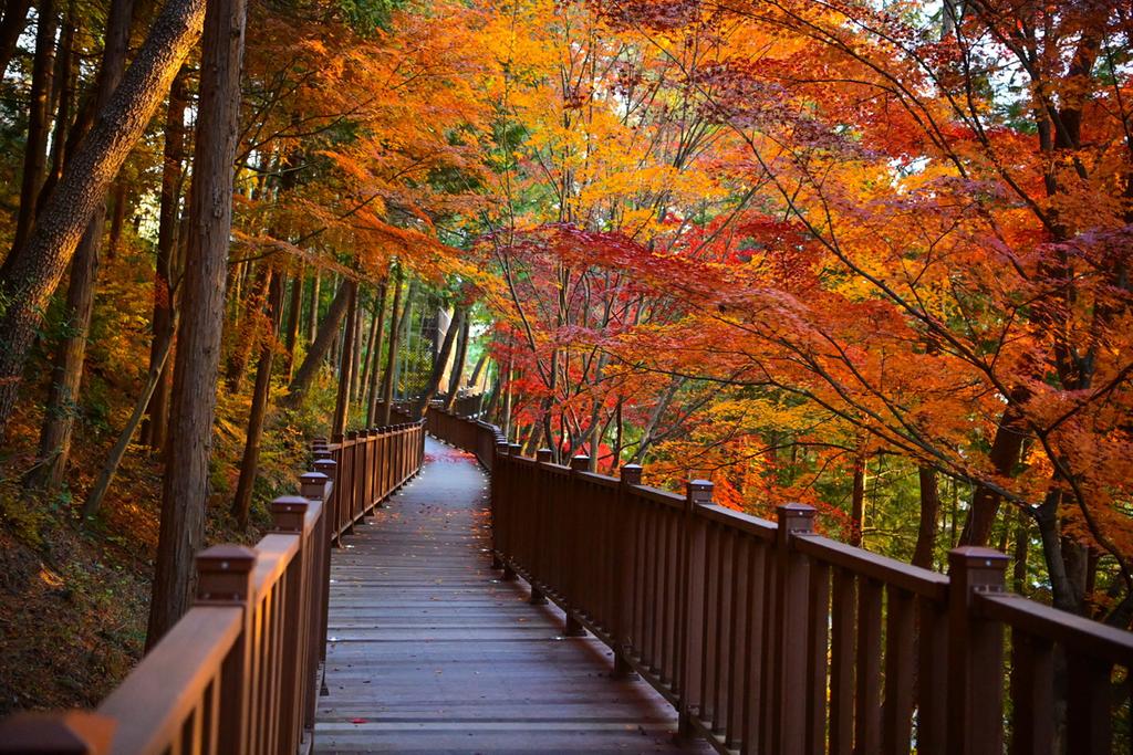 진주시, ‘무장애’ 진양호 노을길 준공 