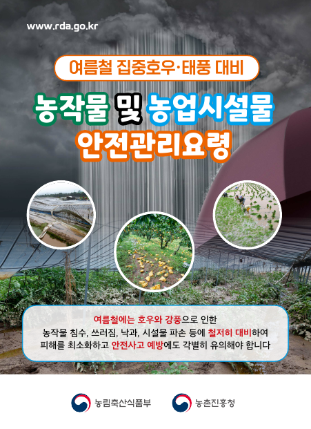 안내문 그림