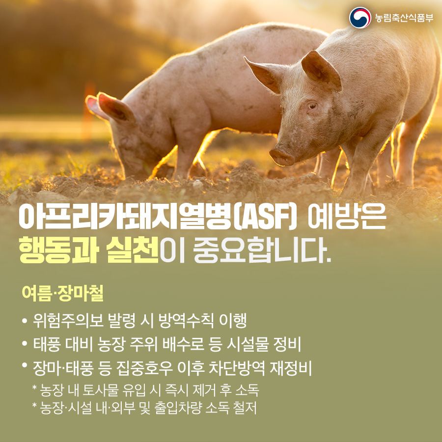 방역수칙 사진