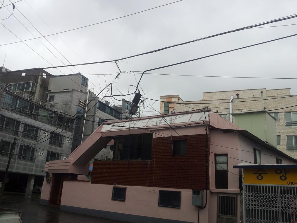 가좌동 654-3번지 베스트빌 앞 전선상태