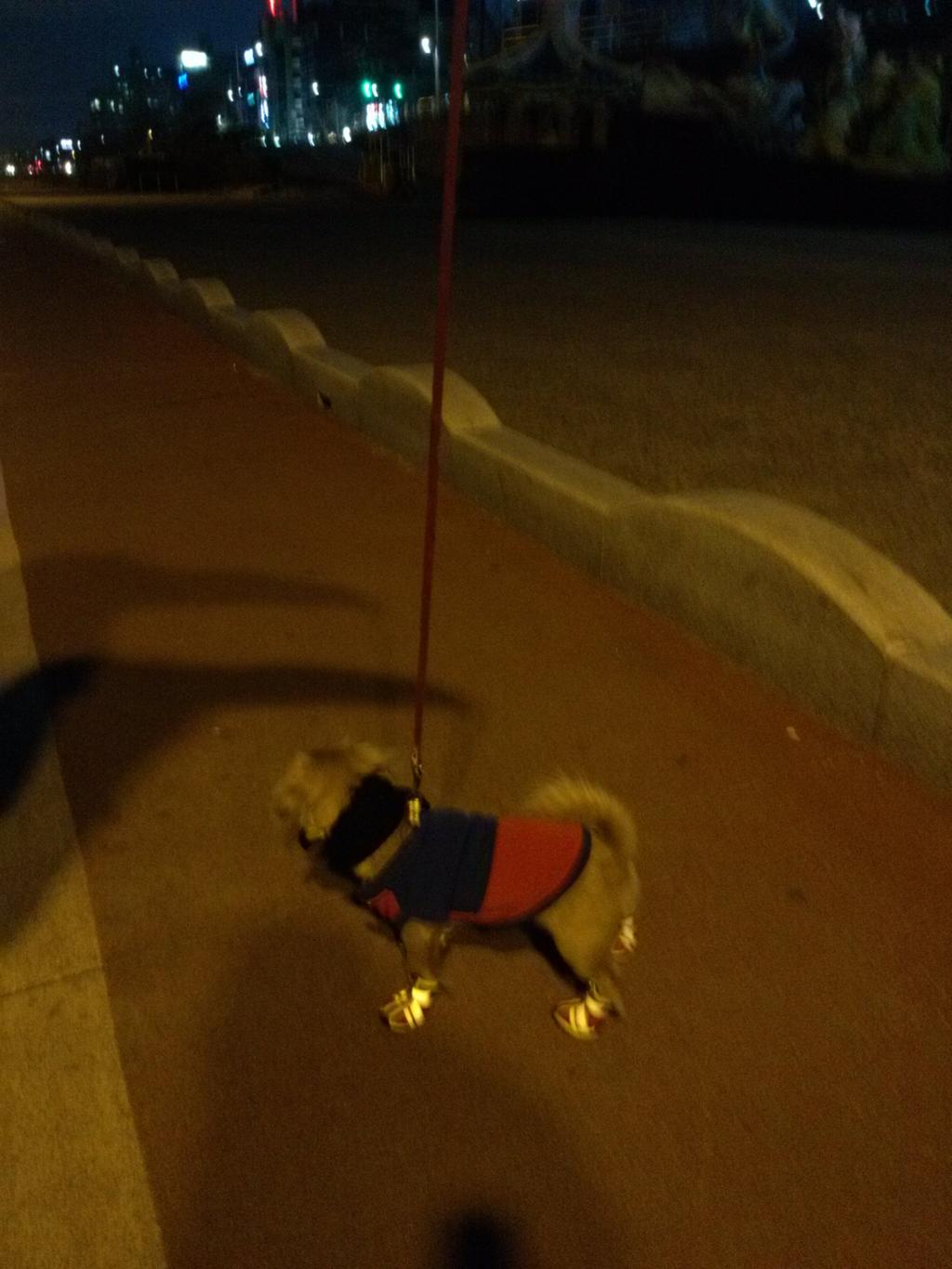 호두