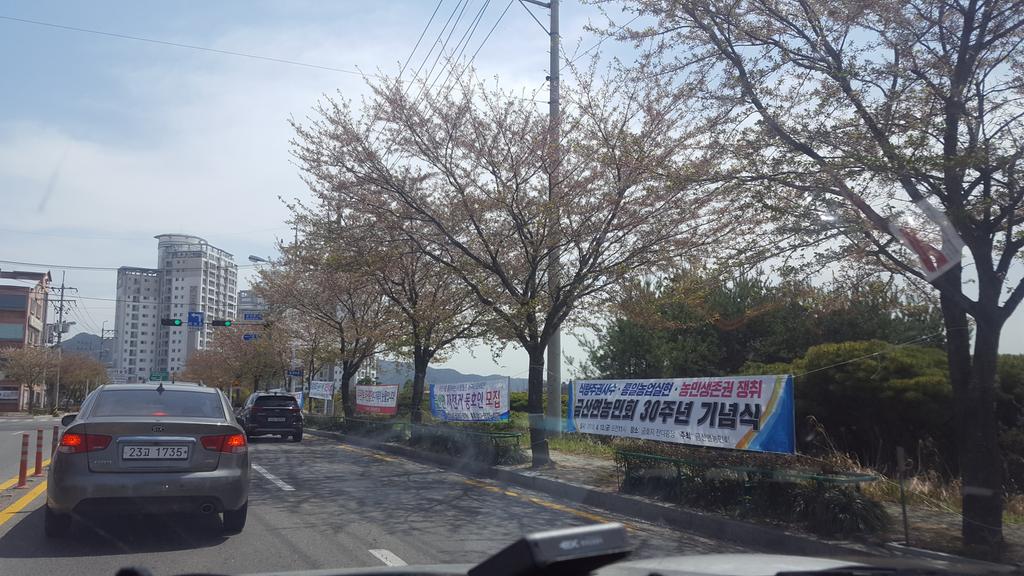금산면 sk금산주유소 앞 도로변 현수막