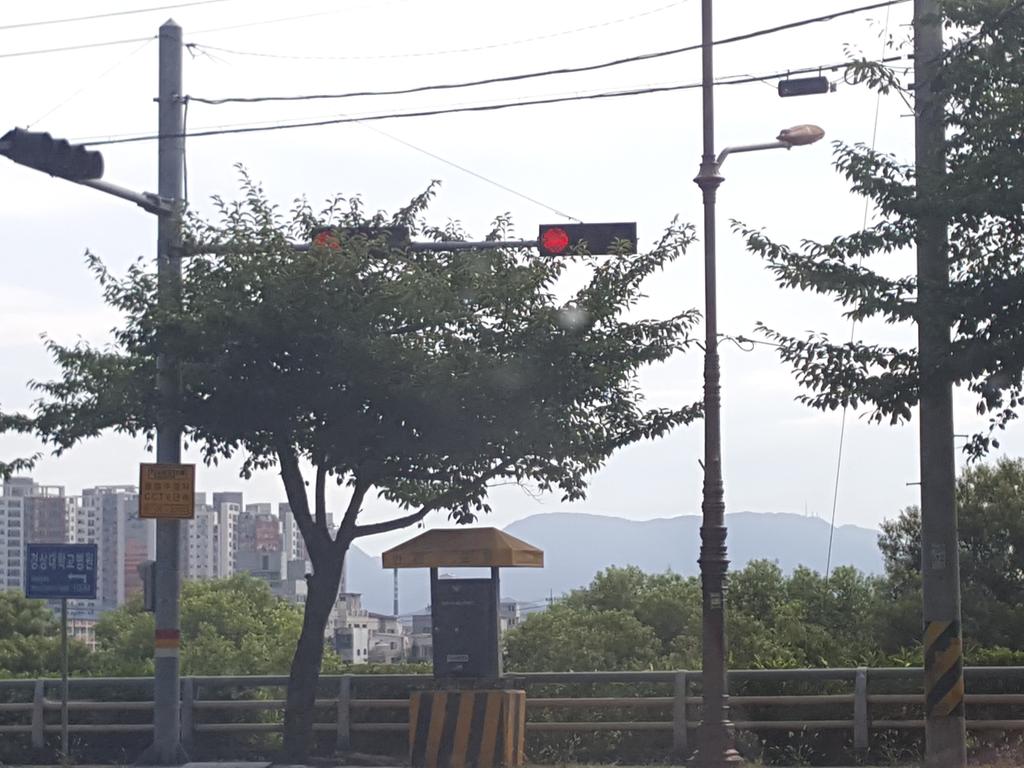 신호등
