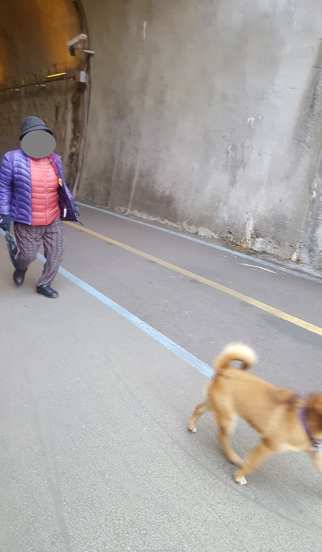 사진첨부 1