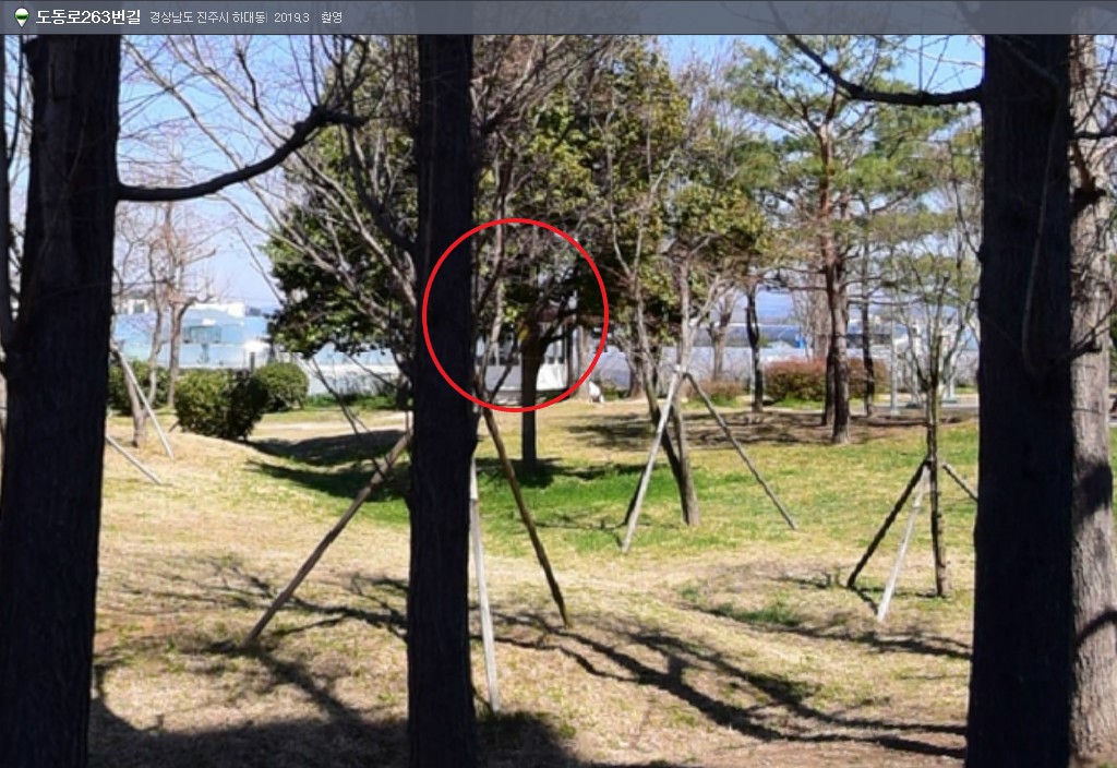 중앙공원 정각설치지점 사진