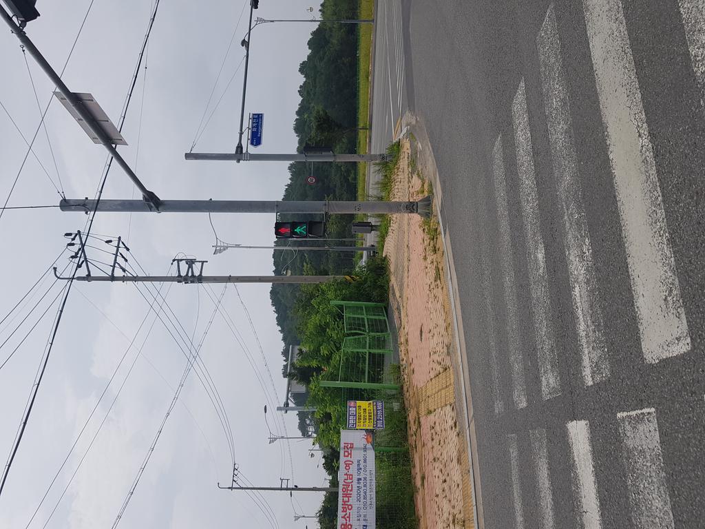 횡단보도 신호등