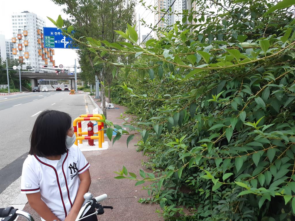 보행로상태