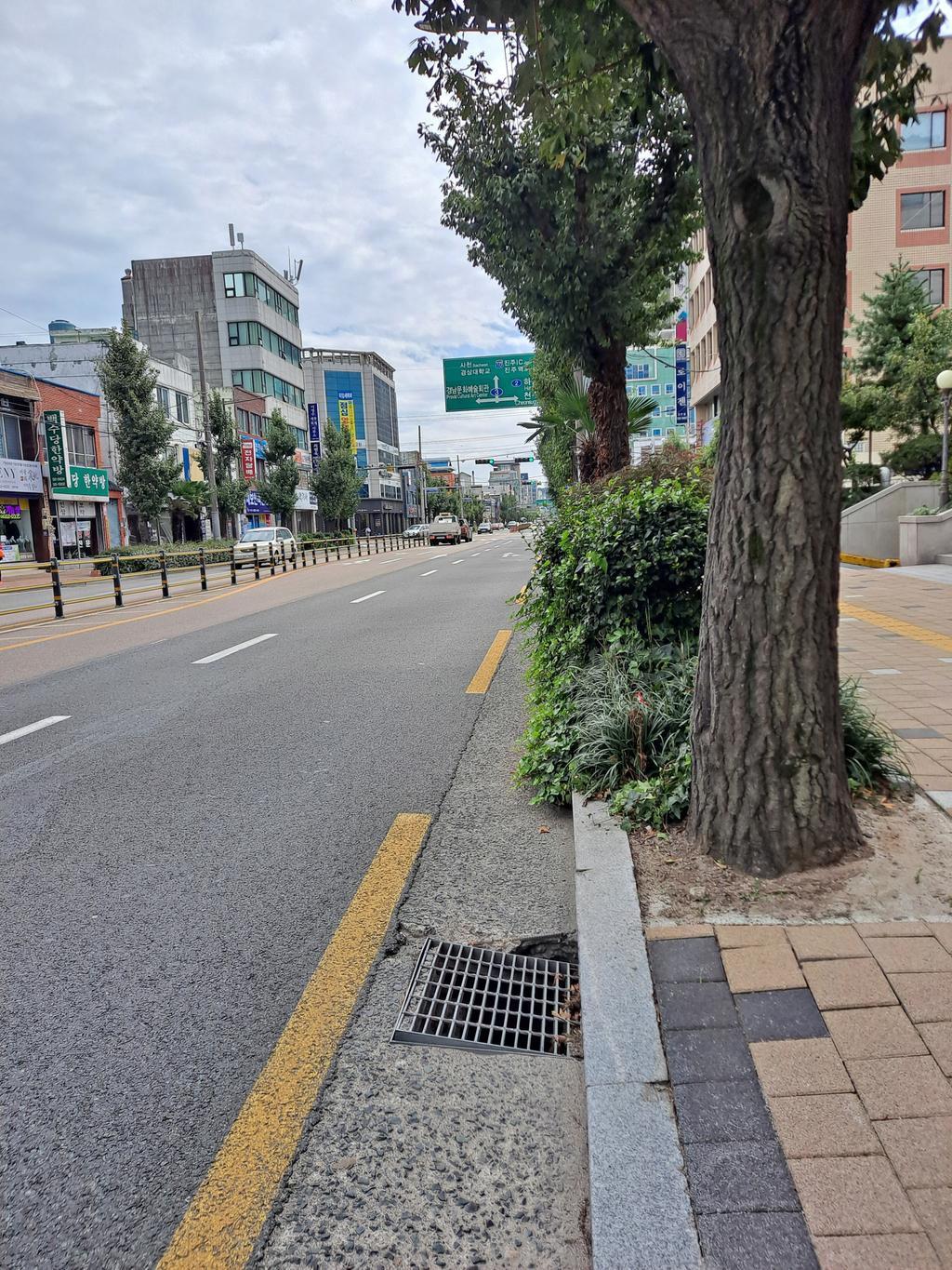 강남동 대로 고용노동부 진주지청 앞