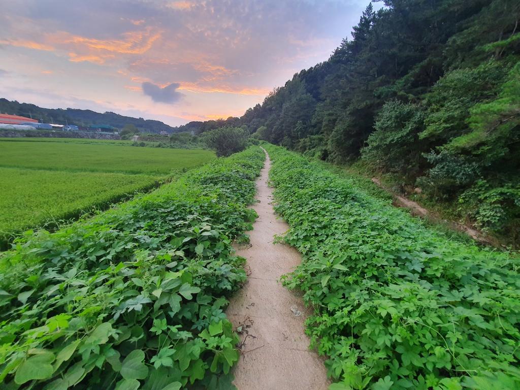 제초작업 꼭 부탁드립니다