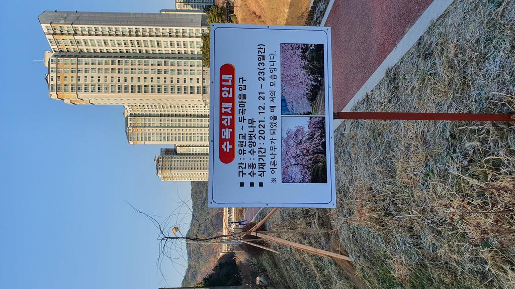 <수양벚나무>가 맞고 <수양벗나무>는 틀린 게 아닐까요?