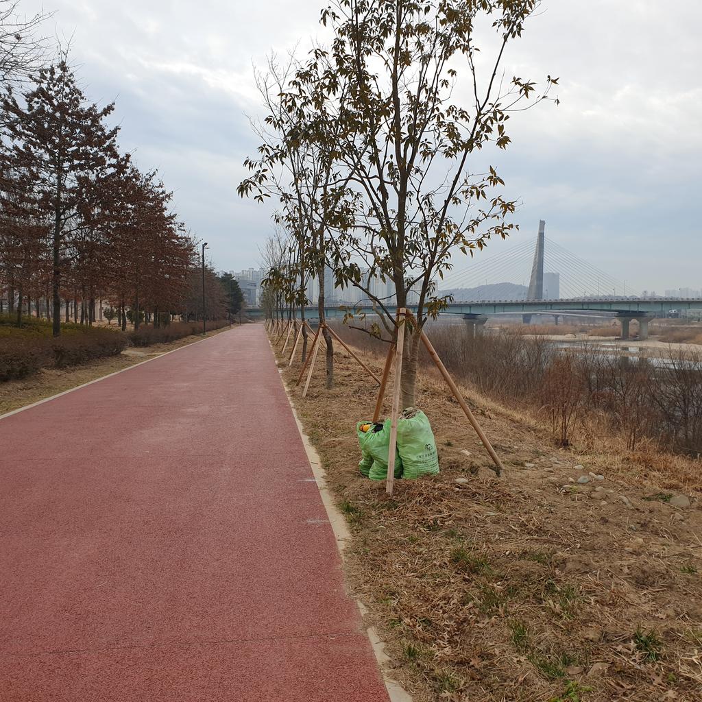 멀리서 본 종량제 마대  모습