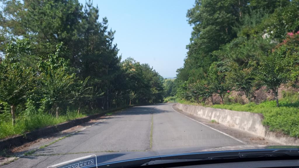 제가출근하고돌아오며찍은것인데 중앙선 표시가 안보입니다.