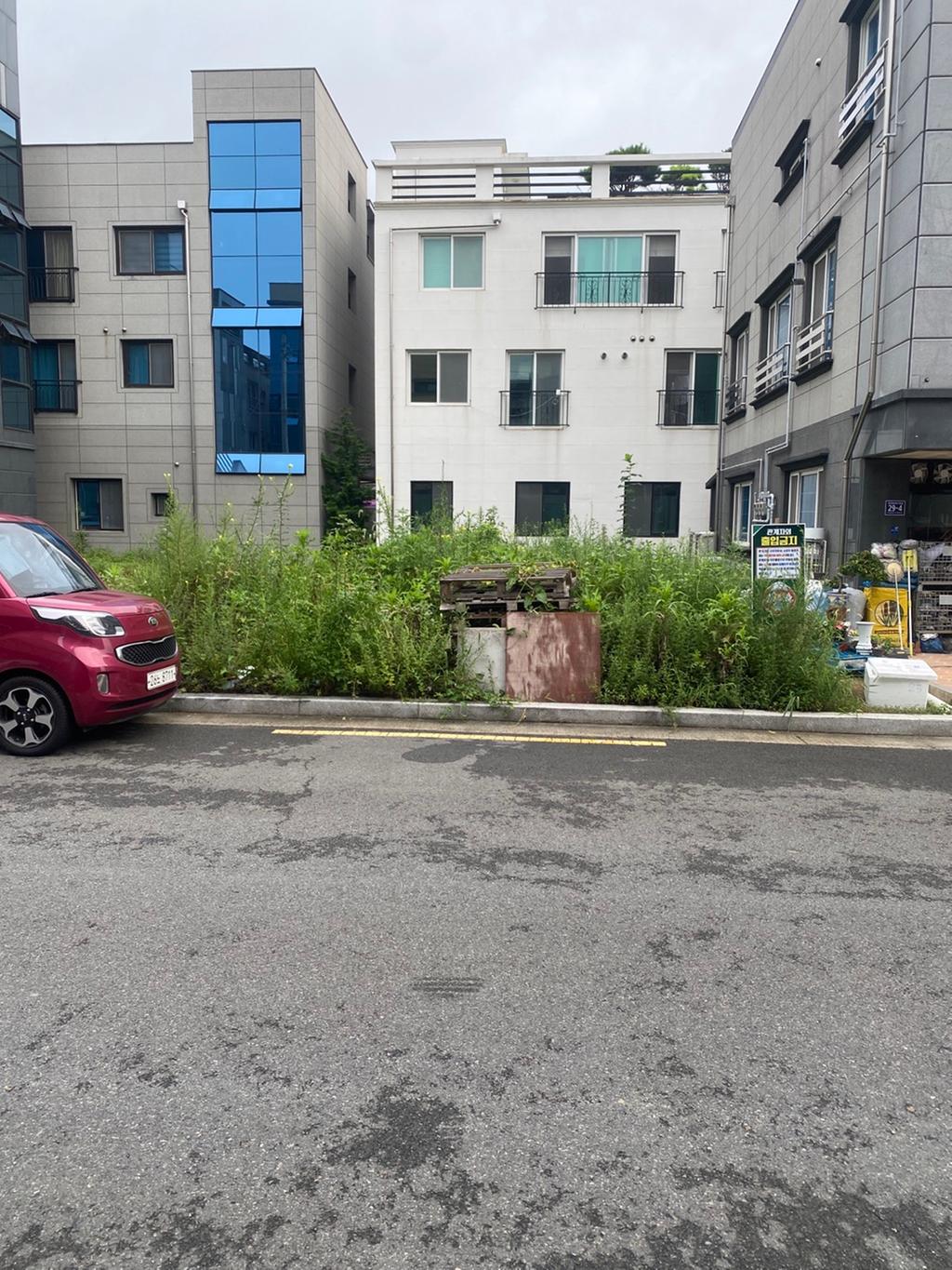 1714-4번지 맞은편 잡초 