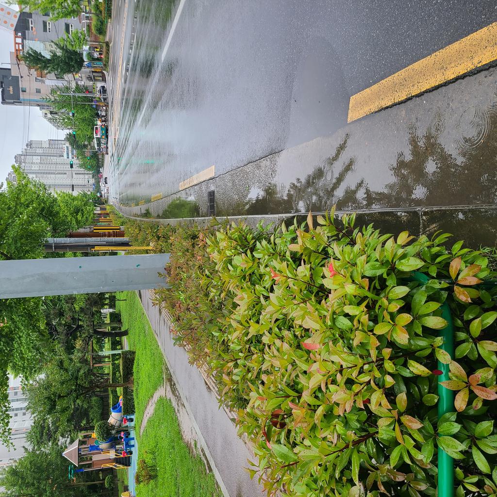 서진초 후문 쪽 도로 물고이는 장소 