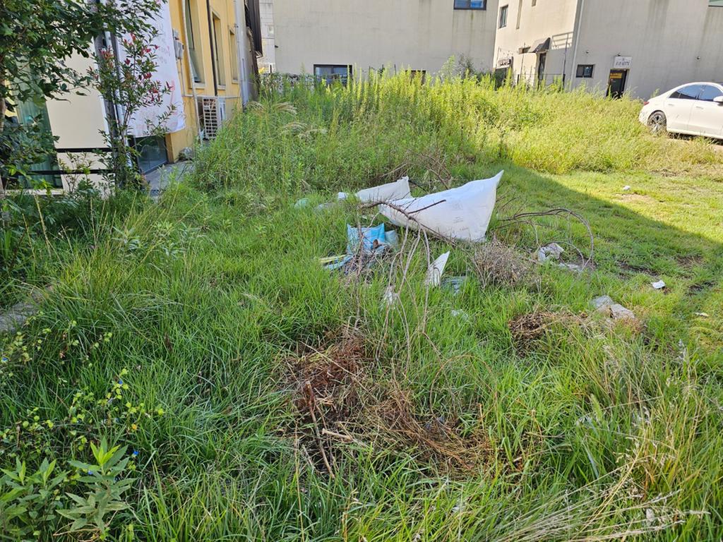 평거동 학원가 쓰레기, 수풀